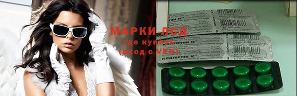 прущие грибы Алексин
