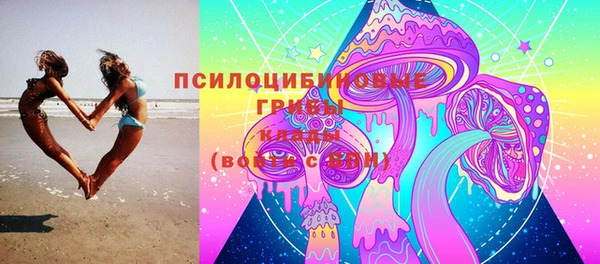 СК Абинск