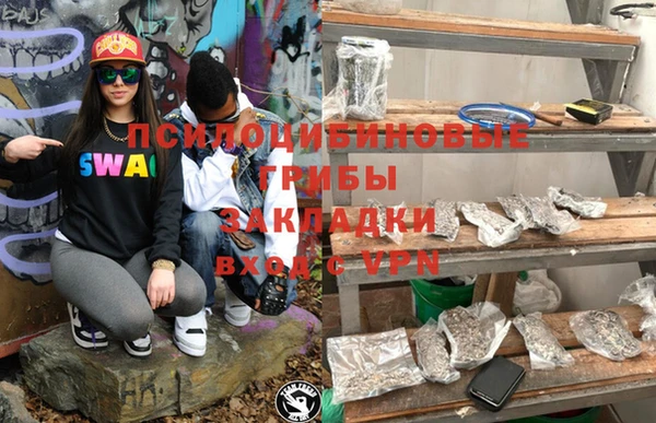 СК Абинск