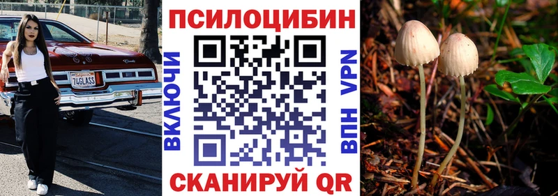 Галлюциногенные грибы Psilocybine cubensis Трубчевск